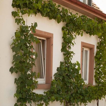 Ferienhaus Am Kuenstleratelier Riegel Dış mekan fotoğraf