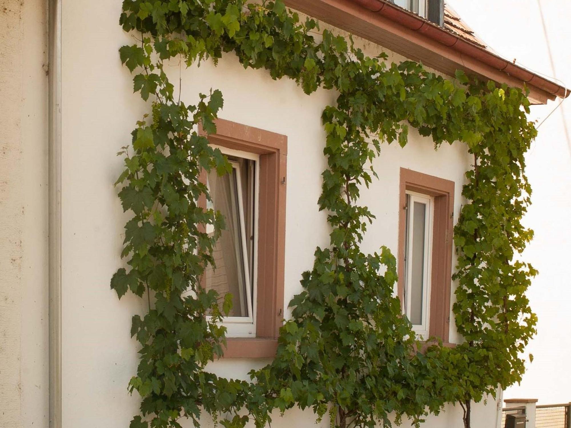 Ferienhaus Am Kuenstleratelier Riegel Dış mekan fotoğraf